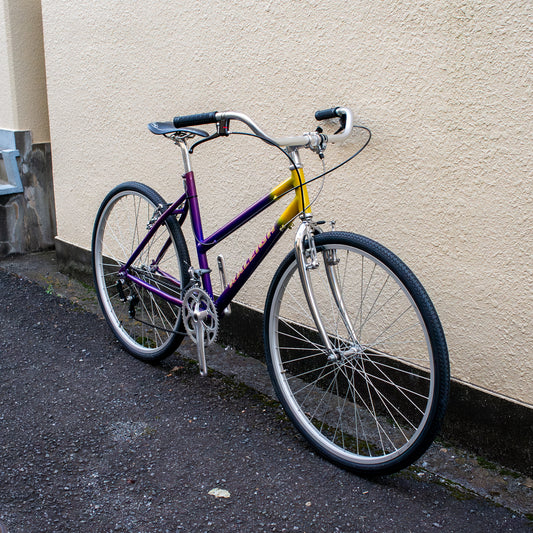 RALEIGH City-Bike 2speed