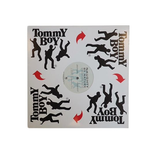 Naughty By Nature - Feel Me Flow / Hang Out And Hustle 12” used