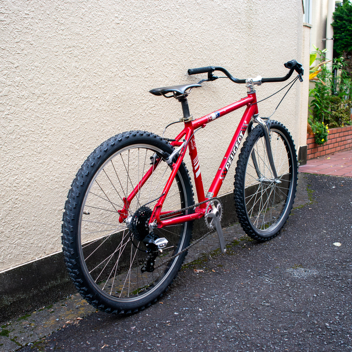 PEUGEOT MTB 8speed – has GROWN bike